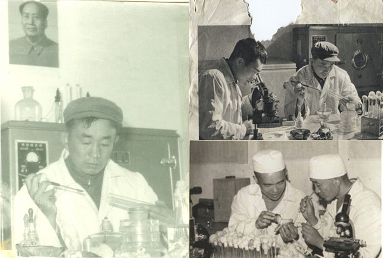 1961_(ki)W(xu)I(y)ص(ni)ɹ(dng)r(sh)ă(ni)ɹx(chng)W(xu)̌W(xu)о׺߀ǿհˣ(dn)ؓ(f)˄(dng)W(xu)x(chng)W(xu)Ľ̌W(xu)΄(w)aֹյČ(sh)(yn)(sh)(yn)     