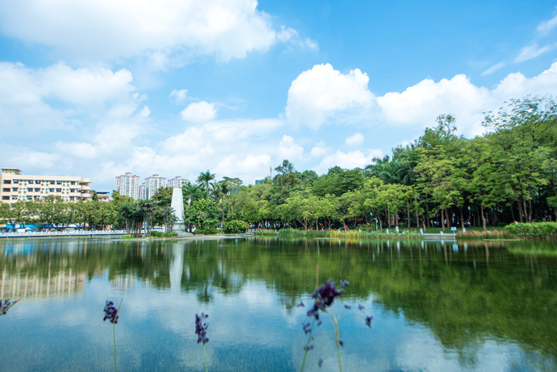廣西大學(xué) 碧雲(yún)湖秋景（樊道亮/攝）