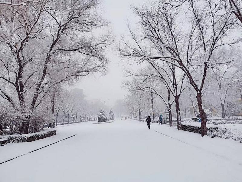 山西財經(jīng)大學 大雪過后的校園（學校供圖）