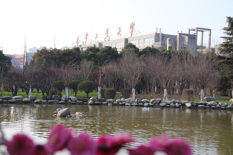 西安工業(yè)大學 春江水暖鴨先知（騫軍榮  支龍華/攝）