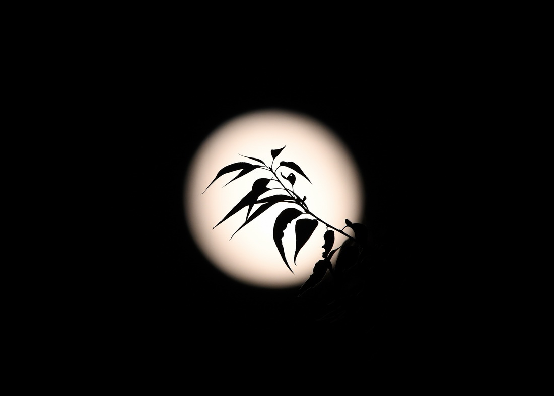 國風·中秋月圓