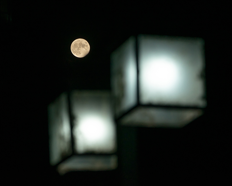 北京科技大學(xué)：中秋之夜，明月與路燈交相輝映。學(xué)校供圖