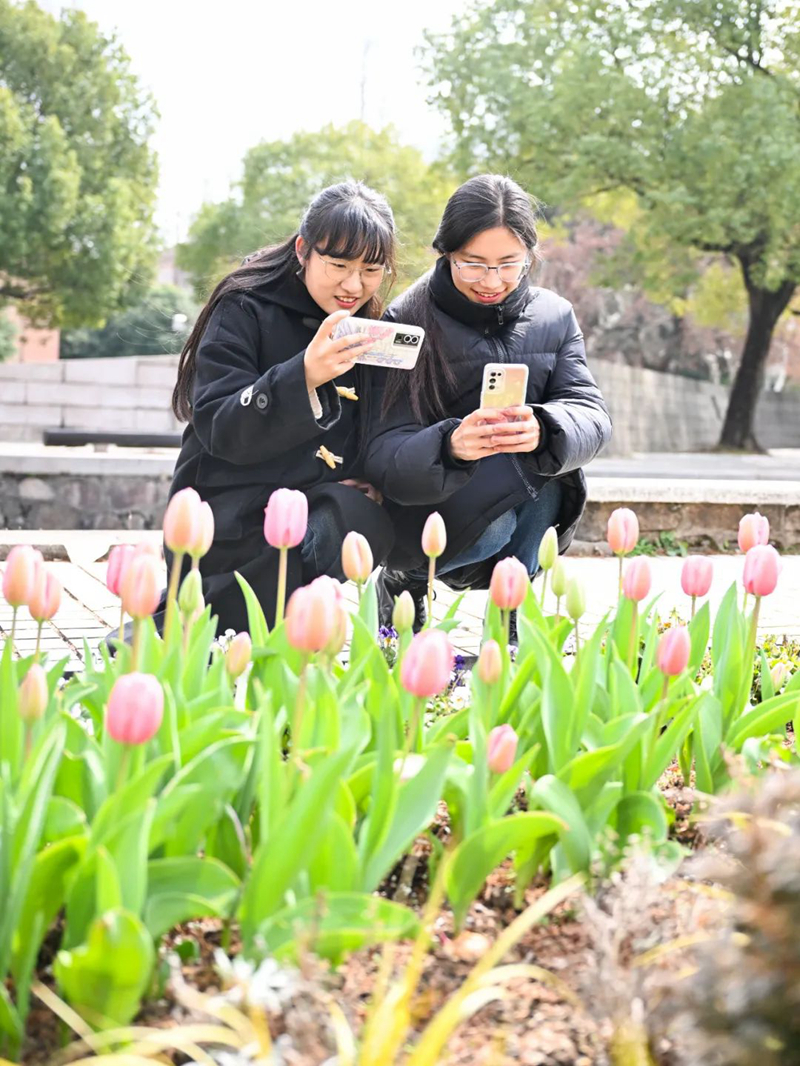 同濟(jì)大學(xué)學(xué)生正在拍攝花圃中含苞待放的花朵。同濟(jì)大學(xué)供圖