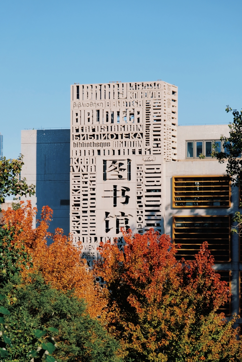 北京外國語大學圖書館外秋意正濃。張湛曼攝
