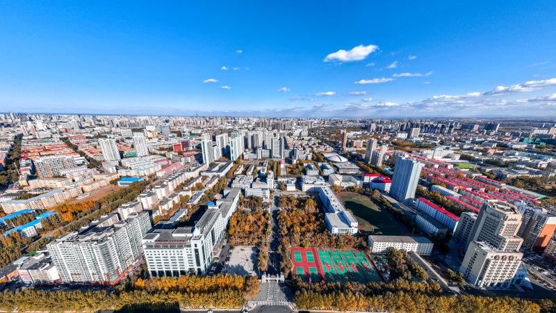 哈爾濱理工大學(xué)校園里，樹木金黃，秋意盎然。彭麒瑋攝