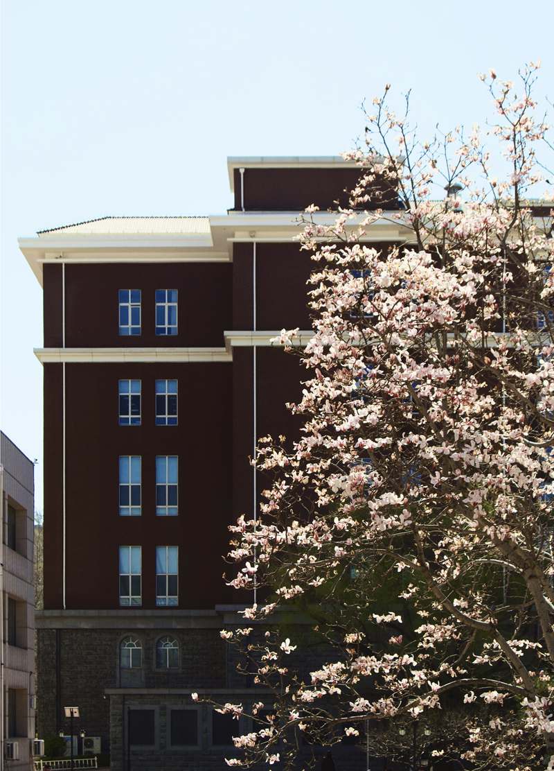 對(duì)外經(jīng)濟(jì)貿(mào)易大學(xué)校園內(nèi)，玉蘭添香。呂妍攝