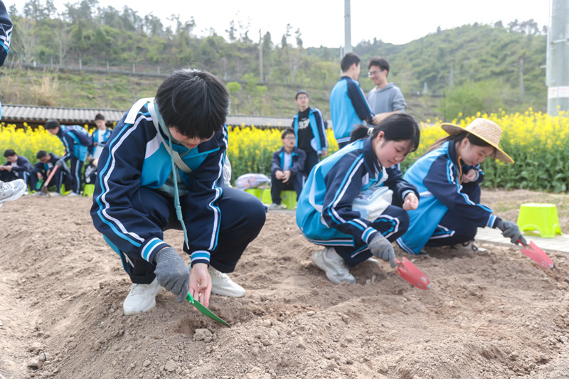 同學(xué)們學(xué)習(xí)農(nóng)耕技能。校方供圖