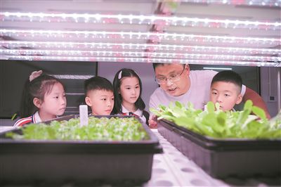 學(xué)生們在浙江桐廬縣科技城未來學(xué)校“生態(tài)教室”觀察青菜生長。視覺中國供圖