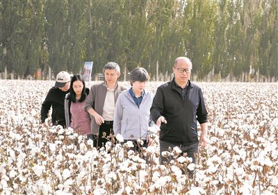 李召虎團隊成員在棉田了解試驗情況。 受訪單位供圖