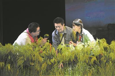 原創(chuàng)話劇《袁隆平》劇照。 龍帆攝